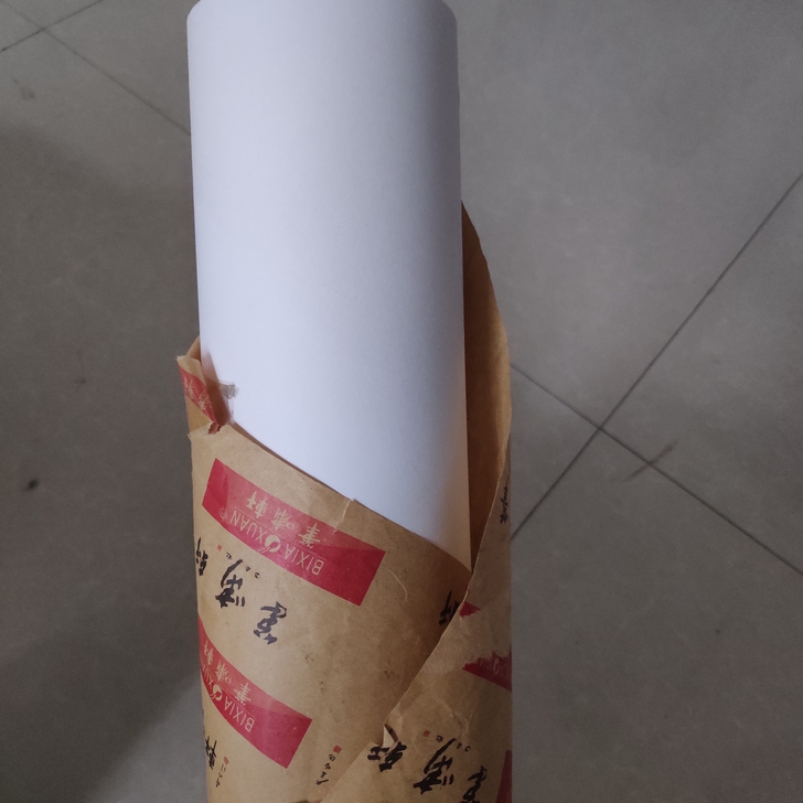 法国康颂素描纸，在央美小白楼买的，闲置很久...