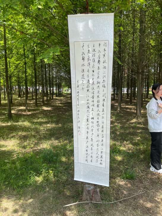 毛笔字书法作品
