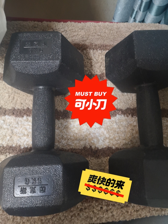 森克斯哑铃5kg的一对儿，买来没练过，太重...