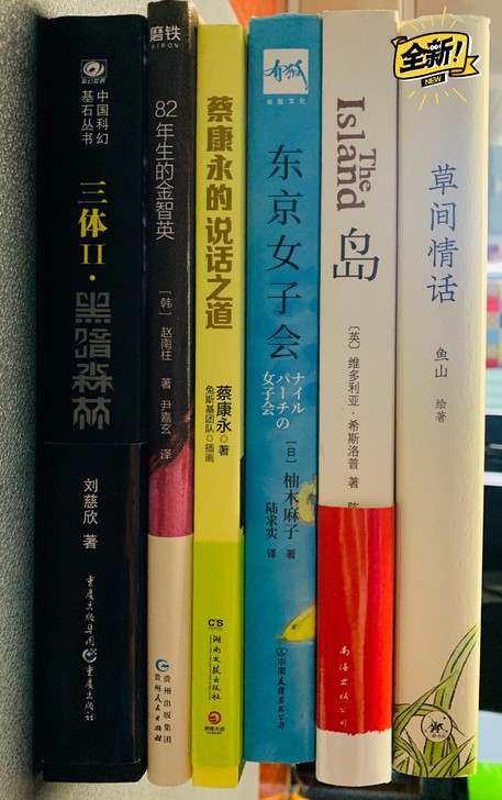 图书大厦购买 正版 图书 网络小说 痞子蔡