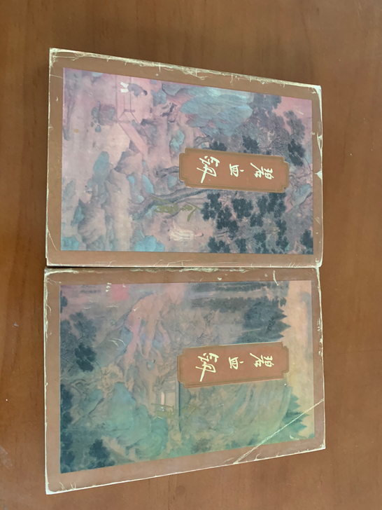 碧血剑(上下)(全二册)碧血剑(上下)(全...