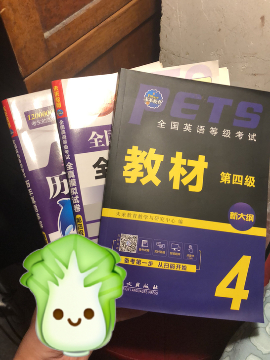 2019版的全国英语四级考试材料，连送代卖...