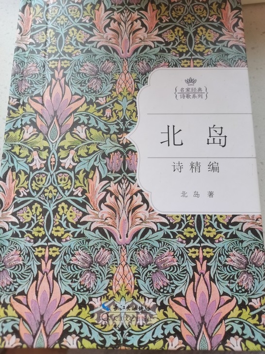 全新