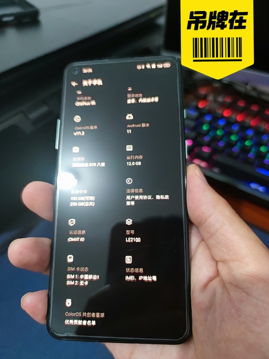 预出一加9R