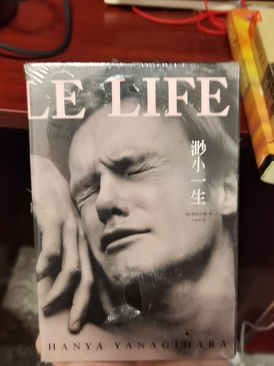 书籍:《渺小一生》《明朝那些事》壹