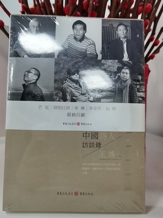 全新《中国诗人访谈录》正版：当代中国著名诗...