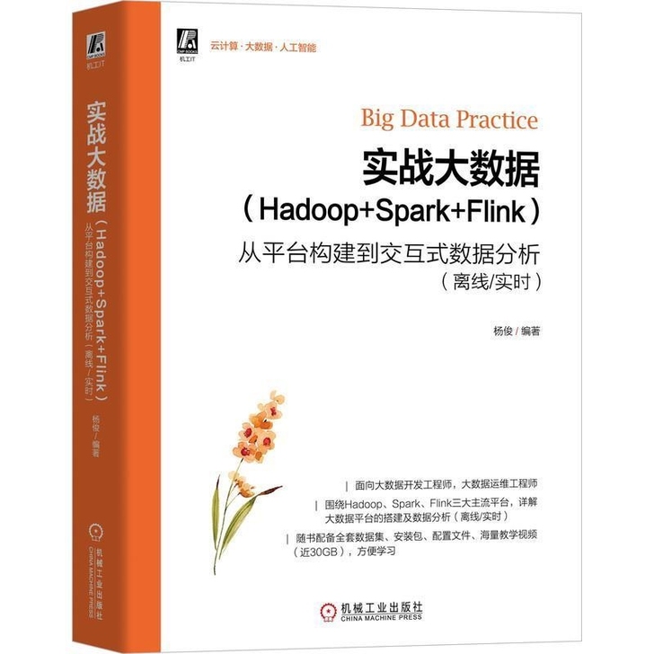 实战大数据 Hadoop+Spark+Fl...