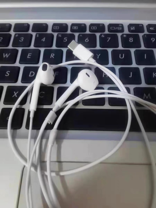 【买一送一】超值全新通用扁孔耳机