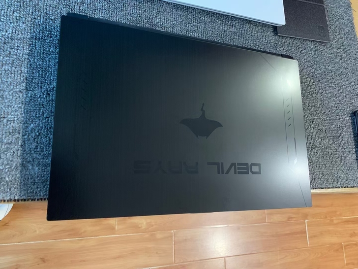 未来人类魔鬼鱼DR721 游戏本处理器 i...