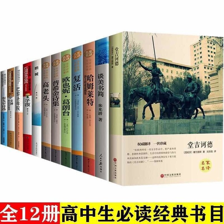 复活巴黎圣母院堂吉诃德普希金