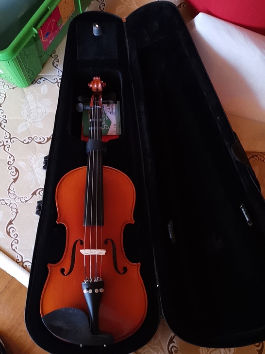搬家清，4/4小提琴，适合初学，自取