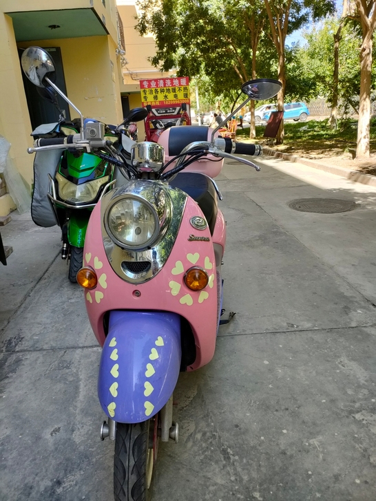 19年新日风雅电动车,买汽车了所以想把电动...