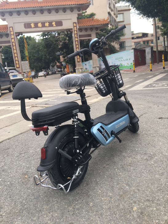凤凰大品牌电动车，随时可以取出来充电， 4...