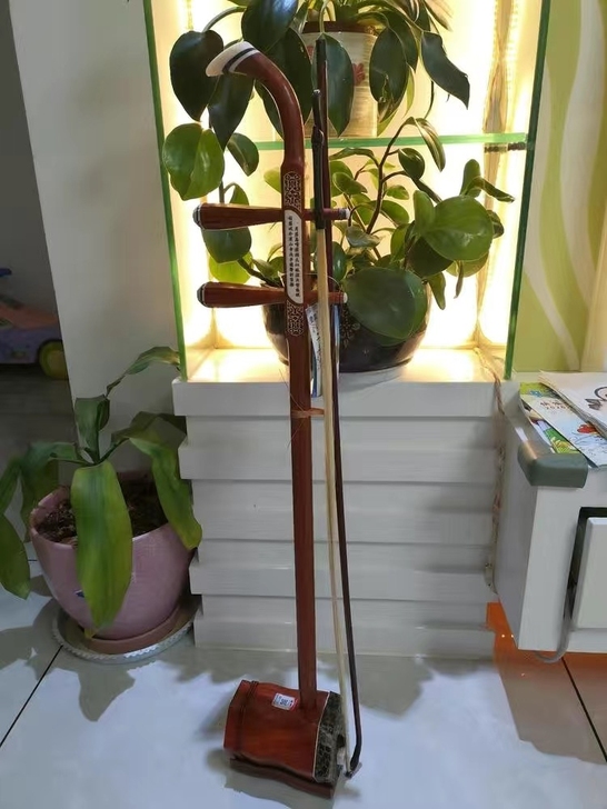 赔钱处理老红木二胡考级缅甸金花蟒皮苏州红木...