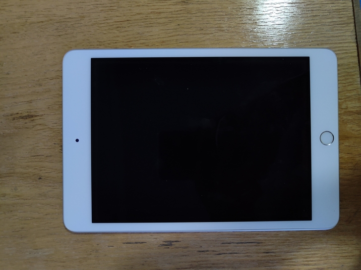 iPad mini5