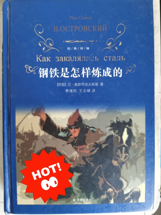 《钢铁是怎样炼成的》 经典译林版