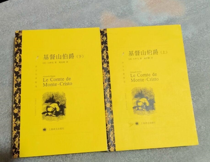 基督山伯爵 大仲马 上海译文出版社的。成色...