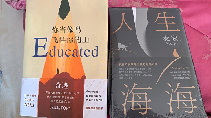 人生海海+你当像鸟飞往你的山两册 精装