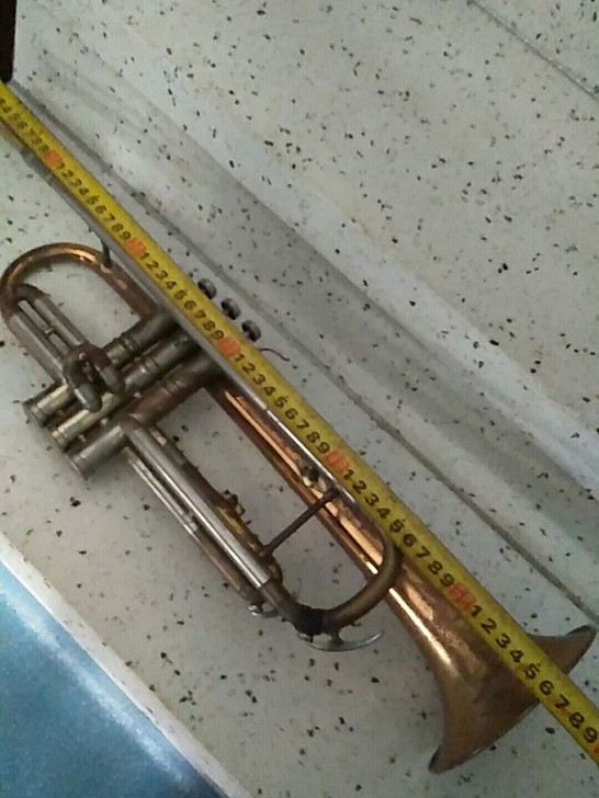 老的鹦鹉牌铜小号
