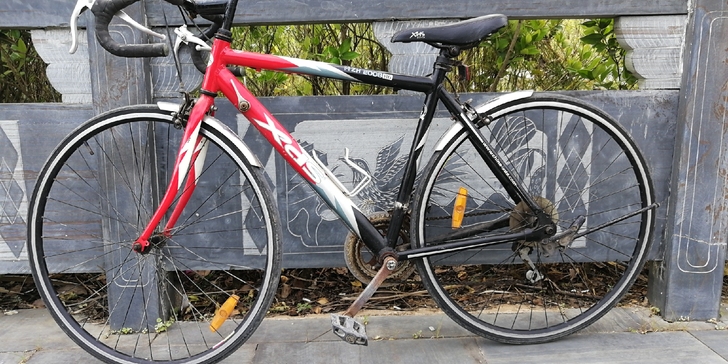 喜德盛公路车 ZH2008R6