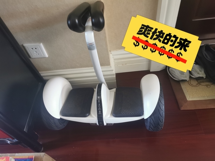 小米平衡车，9.9成新，小区里玩过10次左...