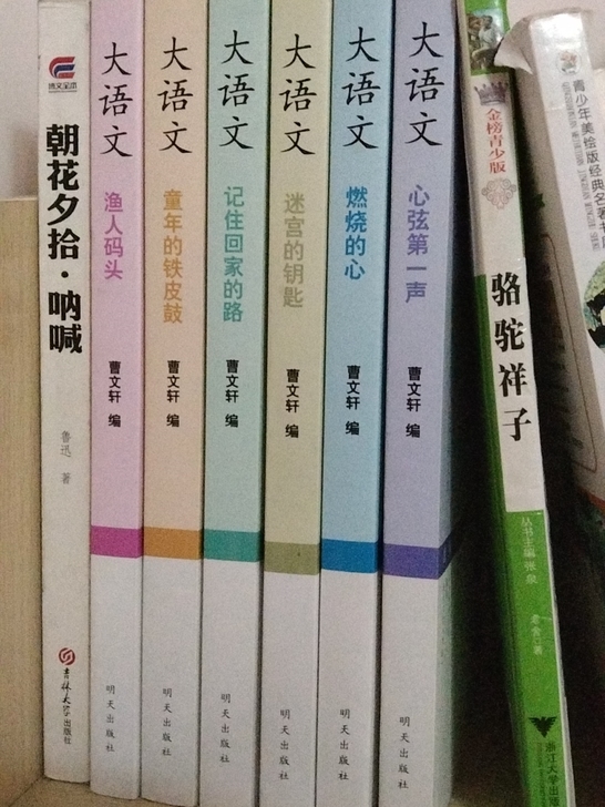 大语文系列，买来基本没看算一本20