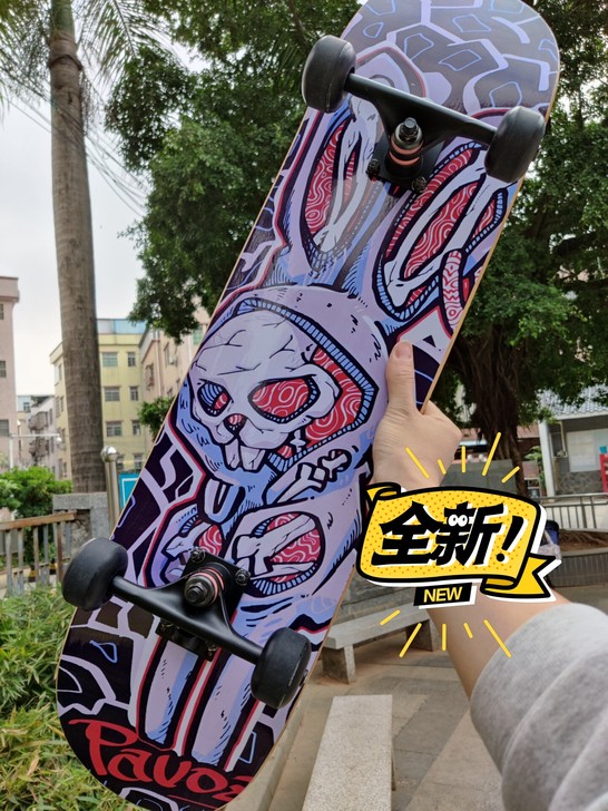 实拍专业双翘滑板血亏价出 初学入门刷街代步...