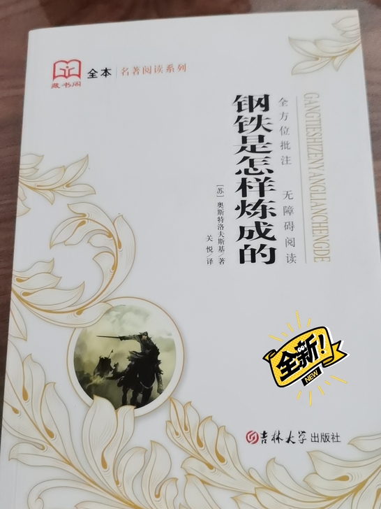 钢铁是怎样炼成的 [苏]奥斯特洛夫斯基，关...