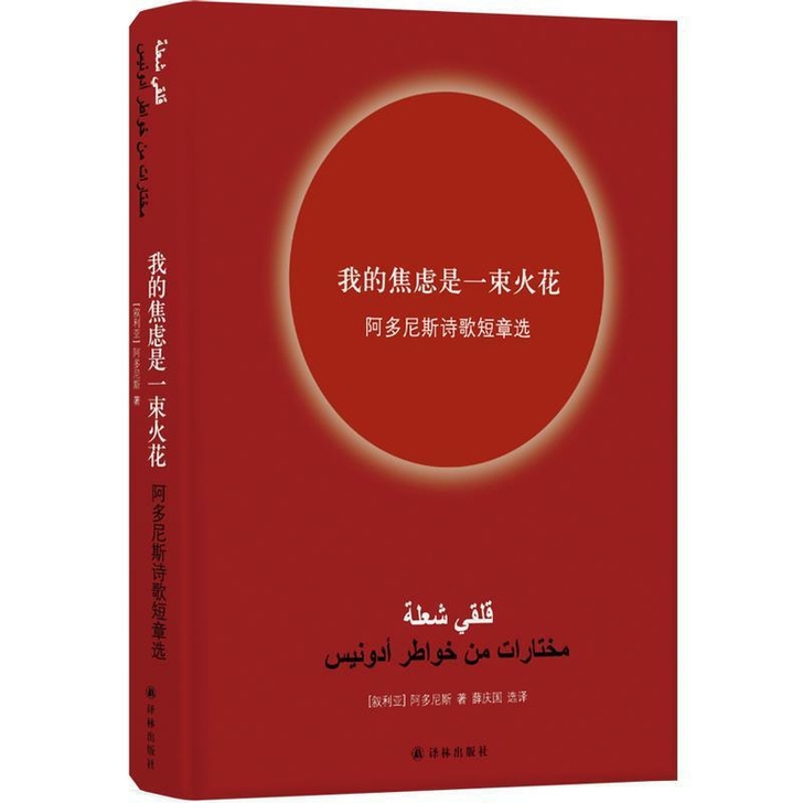 我的焦虑是一束火花 诗集