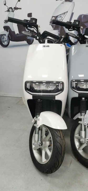 全新 新国标雅迪电动车