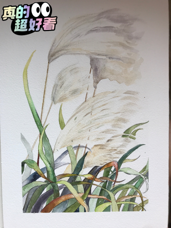 所见及所得呦，家里的画作太多，墙上摆不开了...