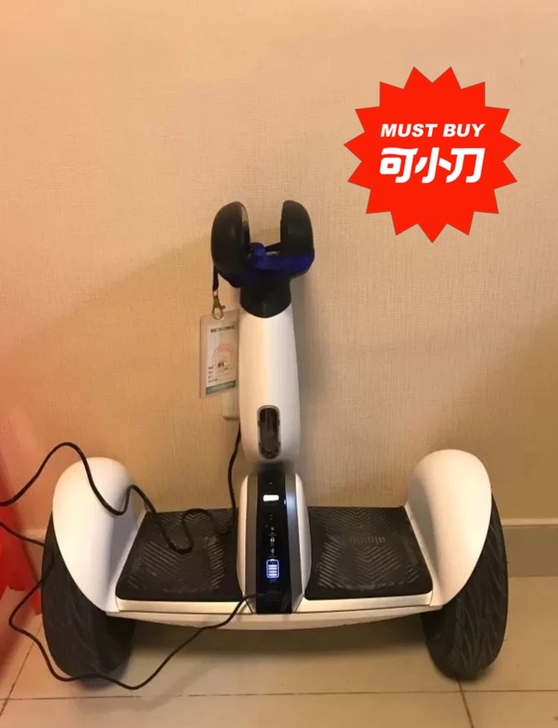 Ninebot小米九号平衡车plus双轮体...