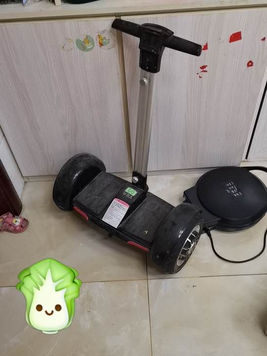 平衡车，没有电了，一切正常，要的联系