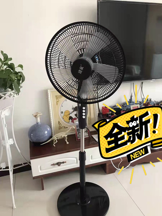 全新落地风扇，5片风叶扇，16寸的大尺寸，...
