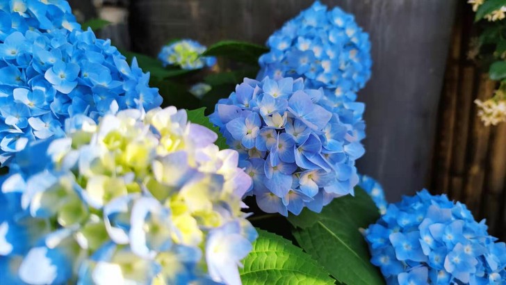 Pr视频剪辑 拼接 混剪 vlog 加字...