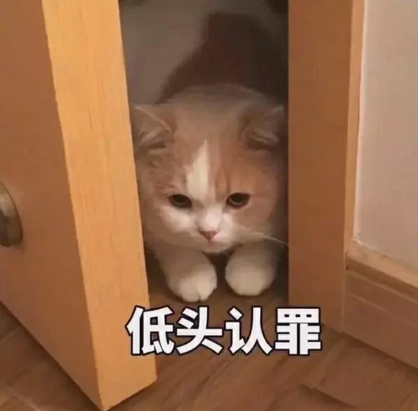 收收收一台IPad pro11寸2021版...