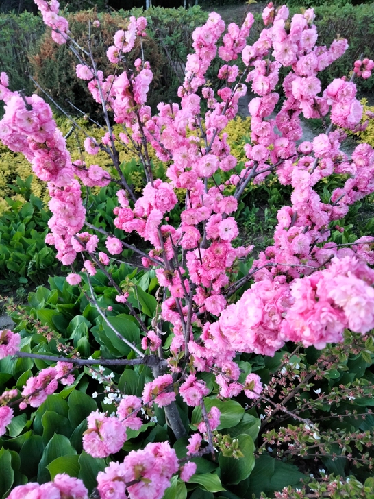 突如其来的假期6