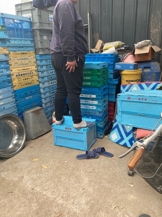 进口折叠箱日本二手折叠箱 日本进口二手折叠...