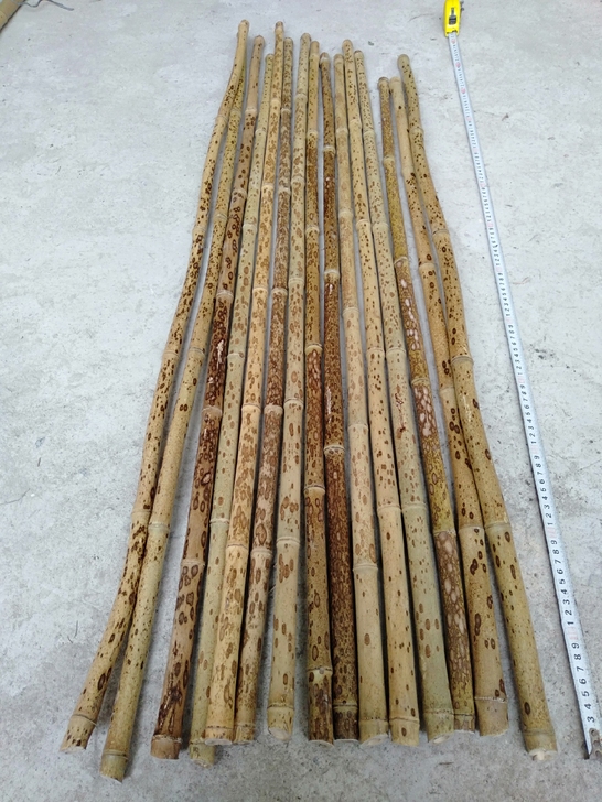 梅鹿料子。外径1.9-2.2之间。花纹精美...