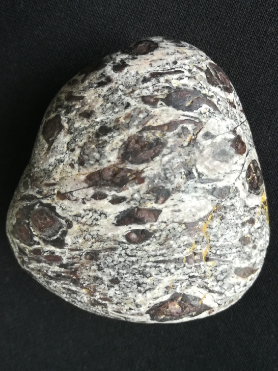 #化石#麻子花纹,美的很,5.8公分完整的...