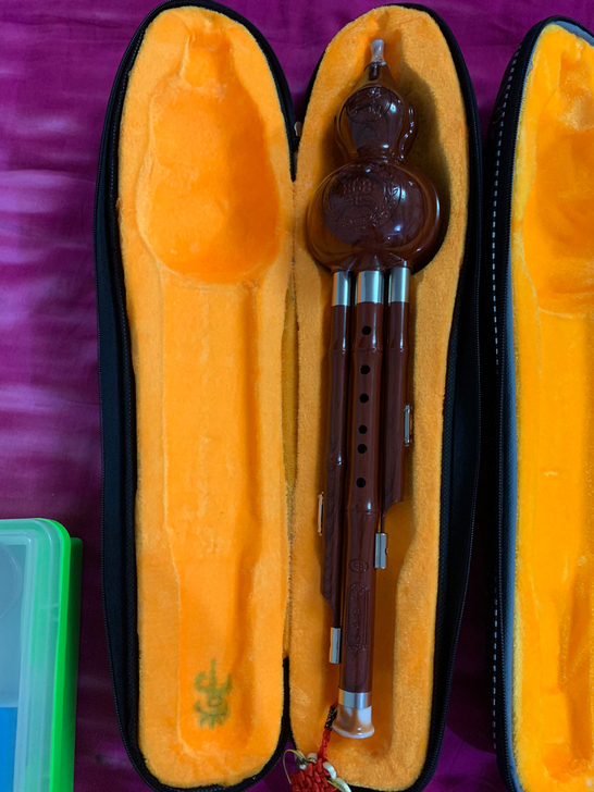 葫芦丝2个 弟弟学校要买的 很新 都是一百...