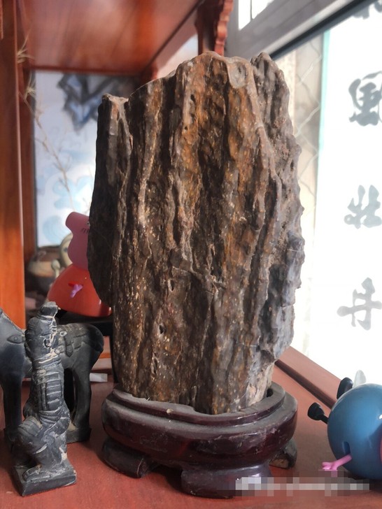 原木化石