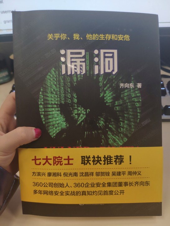 正版《漏洞》安全类丛书，仅拆封，99新，无...