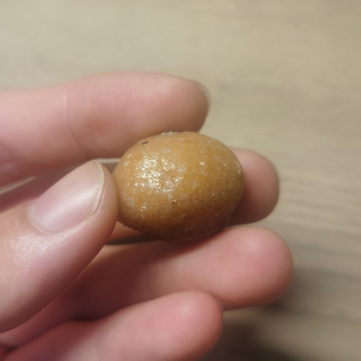 珊瑚玉化化石(产自陕西宁强奥陶纪地层)