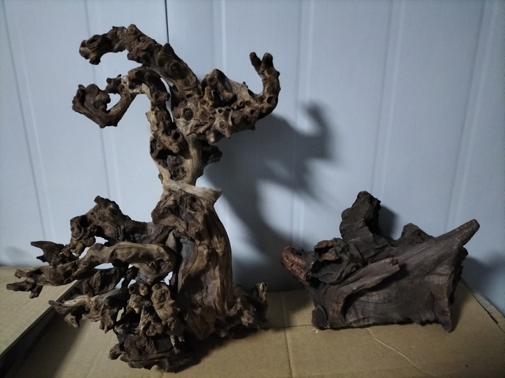 闲置物品，喜欢的拍