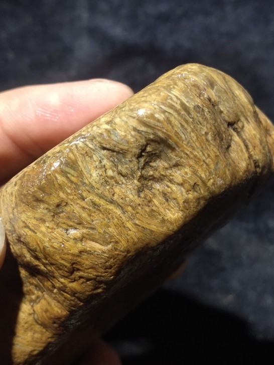 上亿年的，草化玉原石，一种蕨类化石，重37...