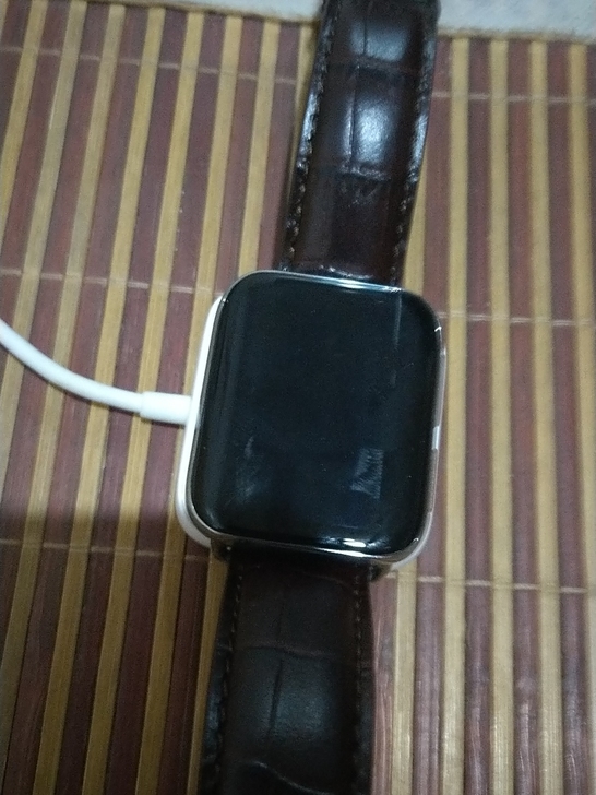 OPPO Watch精钢版，质量很好，看不...