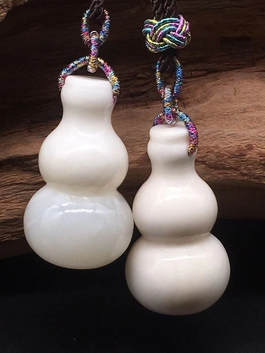 天然南海化石 天然南海化石，