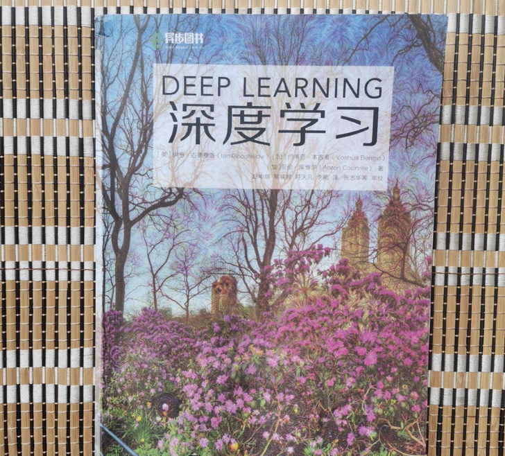 【正版二手】深度学习 动手学深度学习 深度...
