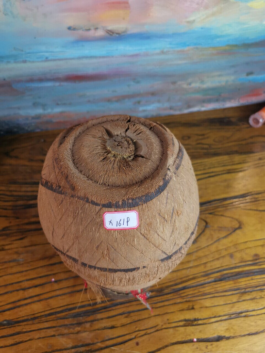 ##amp;quot;椰壳娃娃,海南岛特产...